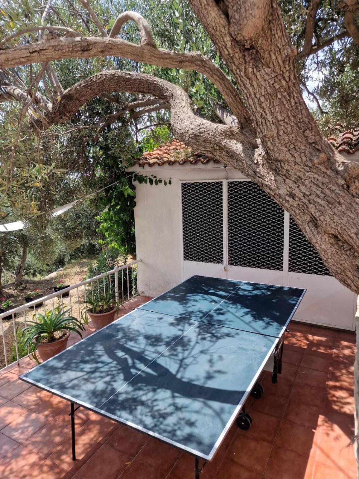 Apartment Panorama - Amazing Sea View, Newly Renovated Dugi Rat Exterior photo